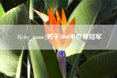 焦作男子5000米世界冠军