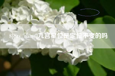 焦作九宫星位是定位不变的吗