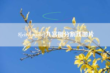 焦作九宫图分割线图片