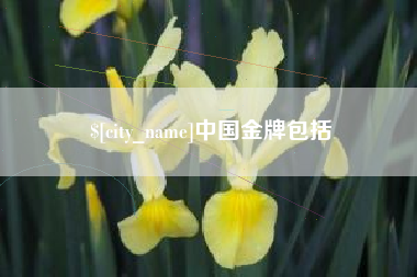 焦作中国金牌包括