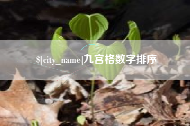 焦作九宫格数字排序