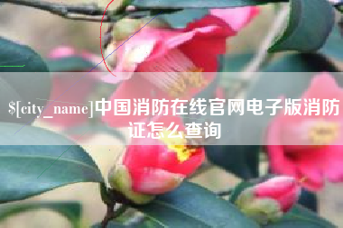焦作中国消防在线官网电子版消防证怎么查询