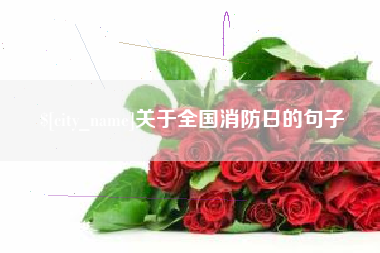 焦作关于全国消防日的句子