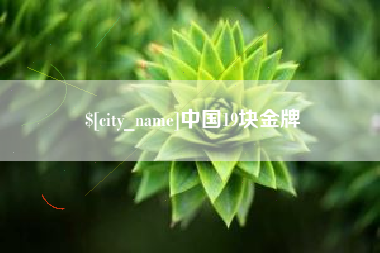 焦作中国19块金牌