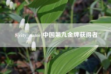 焦作中国第九金牌获得者