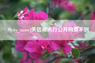 焦作失信被执行公开网查不到