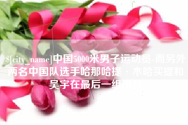 焦作中国5000米男子运动员-而另外两名中国队选手哈那哈提·木哈买提和吴宇在最后一组出场