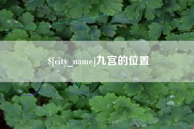 焦作九宫的位置