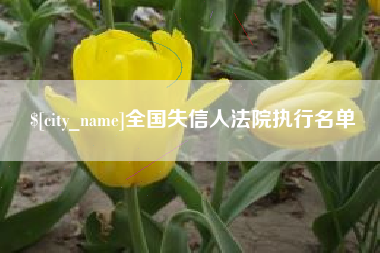 焦作全国失信人法院执行名单