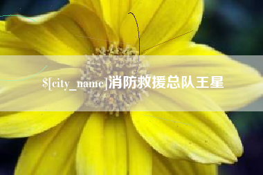 焦作消防救援总队王星