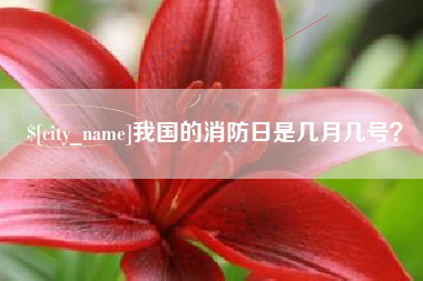 焦作我国的消防日是几月几号？