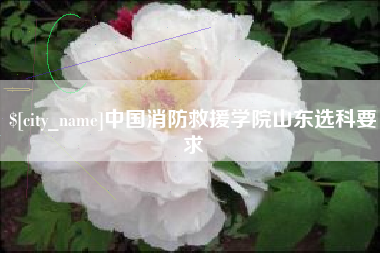 焦作中国消防救援学院山东选科要求