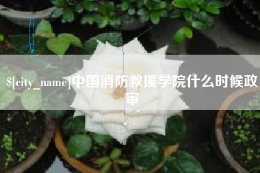 焦作中国消防救援学院什么时候政审