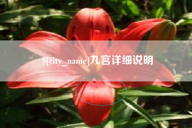 焦作九宫详细说明