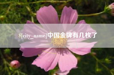 焦作中国金牌有几枚了