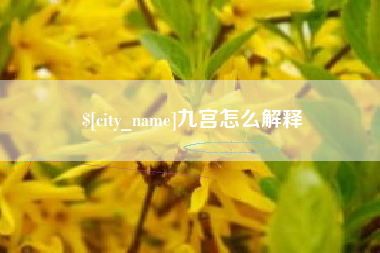 焦作九宫怎么解释