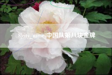 焦作中国队第八块金牌