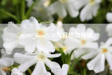 焦作579九宫格如何排