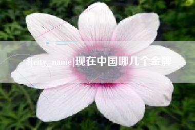 焦作现在中国哪几个金牌