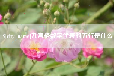 焦作九宫格数字代表的五行是什么
