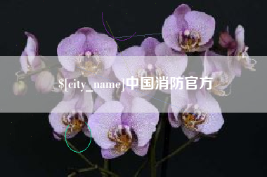焦作中国消防官方