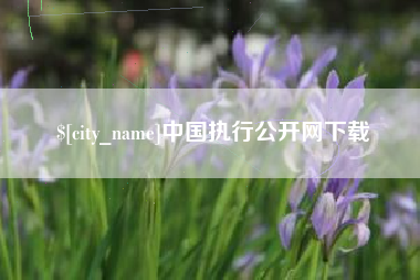 焦作中国执行公开网下载