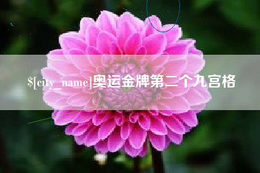 焦作奥运金牌第二个九宫格