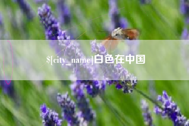 焦作白色在中国
