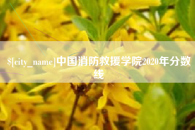 焦作中国消防救援学院2020年分数线