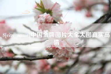 焦作中国金牌图片大全大图真实高清