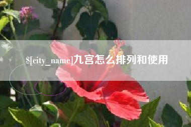 焦作九宫怎么排列和使用