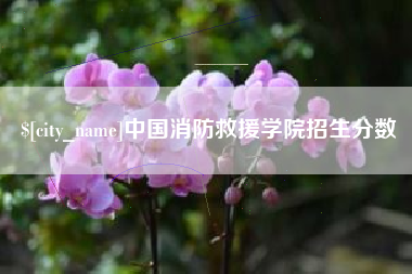 焦作中国消防救援学院招生分数