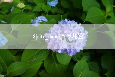焦作2022九宫