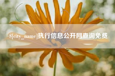 焦作执行信息公开网查询免费