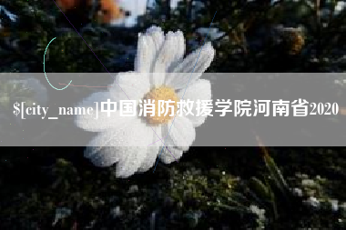 焦作中国消防救援学院河南省2020